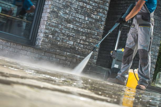 Best Gutter Cleaning  in Rainbow, CA